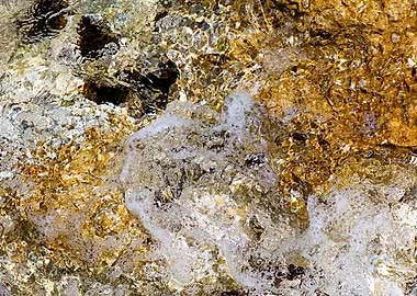 Sea summer rocks close up