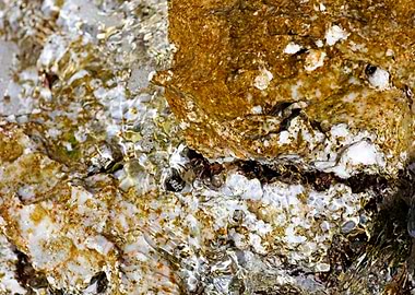 Sea summer rocks close up