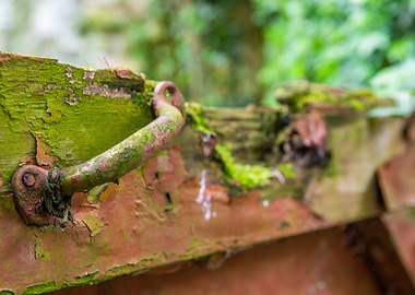 Door clinker and greenery