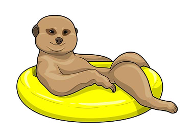 Meerkat Swimming Lifebuoy