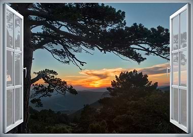 Window view tree sunset