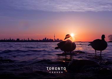 Toronto