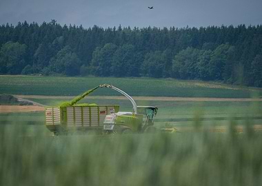 Harvester doing its thing