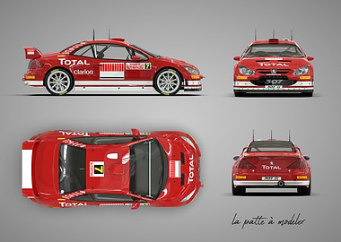 Peugeot 307 WRC