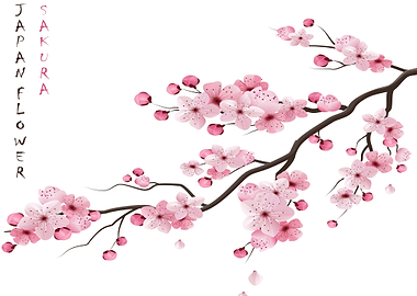 Realistic sakura branch