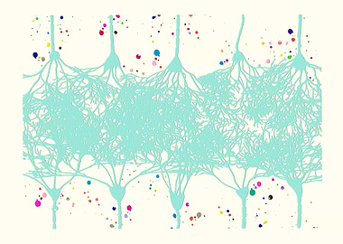 Cortical Neurons
