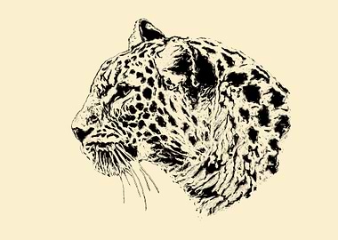 Leopard portrait