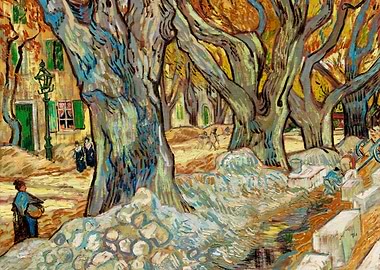 The Large Plane Trees