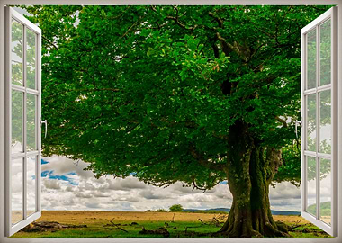 Window view tree landscape