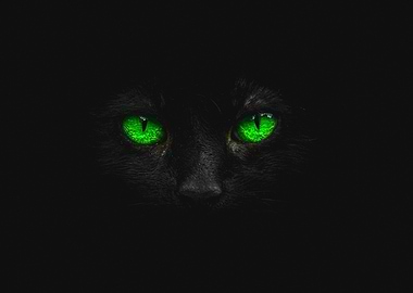 mysterious green cat eyes