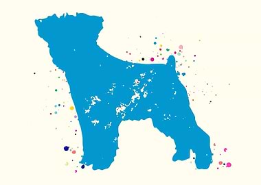 Brussels Griffon Naturel