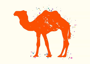 Camel