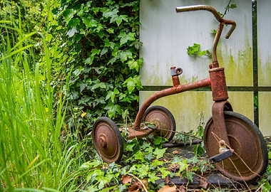 Tricycle and vegetation