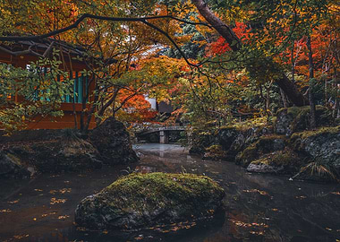 Japanese Temple in Kyoto