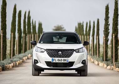 Peugeot 2008 GT Line