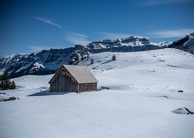 Cottage in the Alps