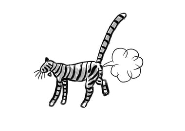 Farting cat