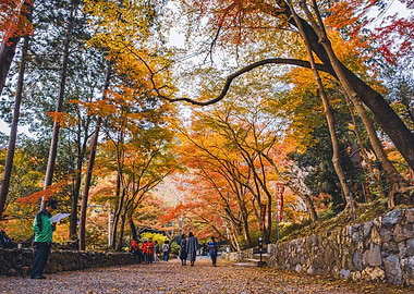 Temple Park in Kyoto Japan