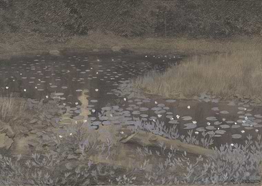 Tarn with Water Lilies