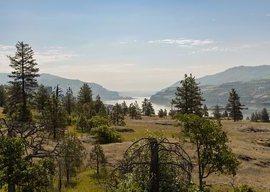 Columbia Gorge landscape