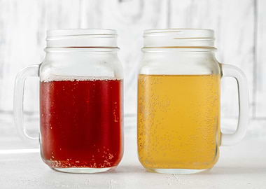 Two kombucha jars