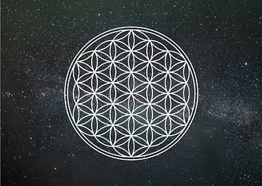 white flower of life
