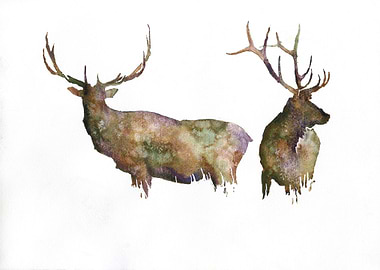 Deer watercolor painting