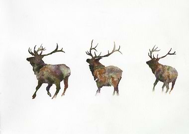 Deer running watercolor