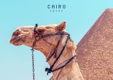 Cairo
