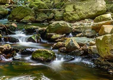 A timid thread of water