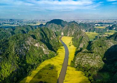 Beauty of ripen rice field