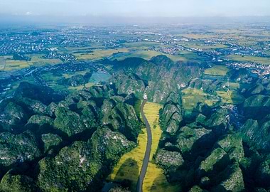 Beauty of ripen rice field