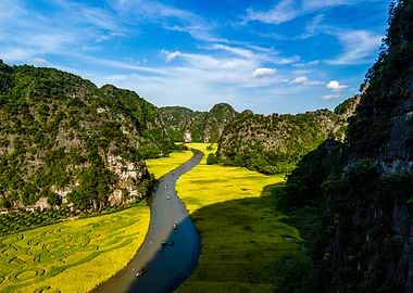 Beauty of ripen rice field