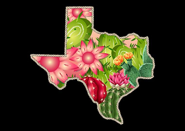 Texas Silhouette