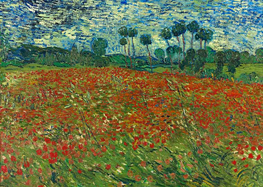 Poppy field 1890 van Gogh