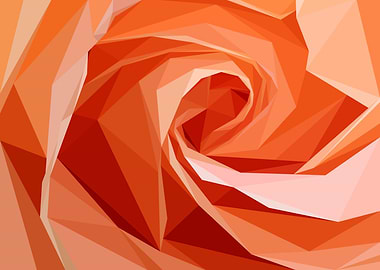 Abstract Rose Close Up