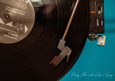 Vinyl Record