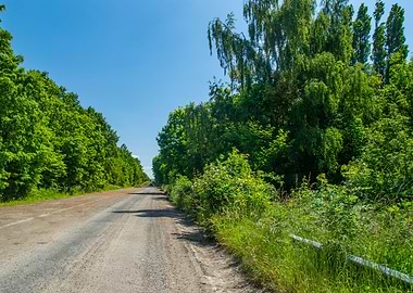 Safety rail and nature