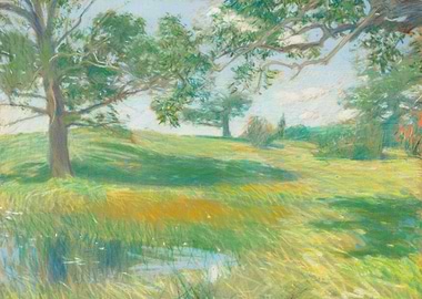 Meadows 1891 Childe hassam