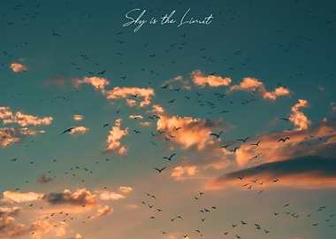 The Sky is The Limit
