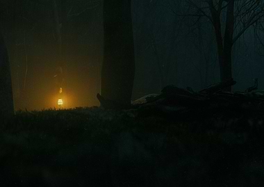 Misty Forest Scene 3 3D