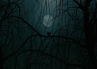 Misty Forest Scene 2 3D