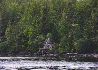 Lonely House in the wild