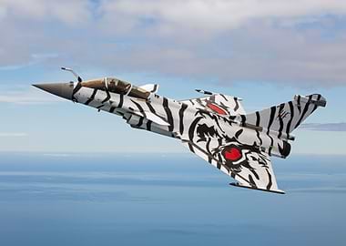 Rafale Marine Tiger Meet