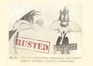 Domestic Disturbance