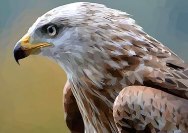 Low Poly Eagle