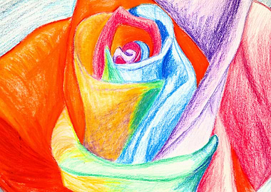 Rainbow Rose