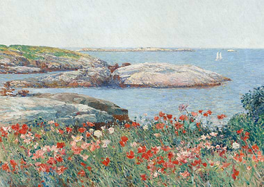 Poppies on the Isles
