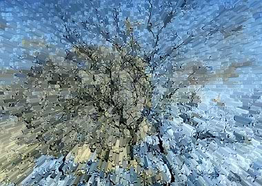 Abstract winter forest sky