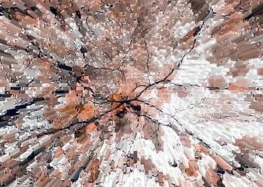 Cooper forest extrude